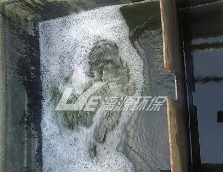 涂料化工廢水處理的生物法有哪些？