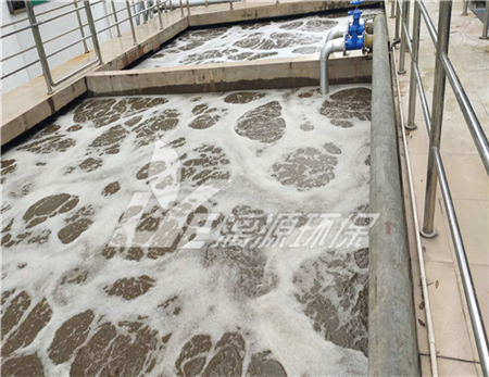 環(huán)氧氯丙烷生產廢水處理工藝